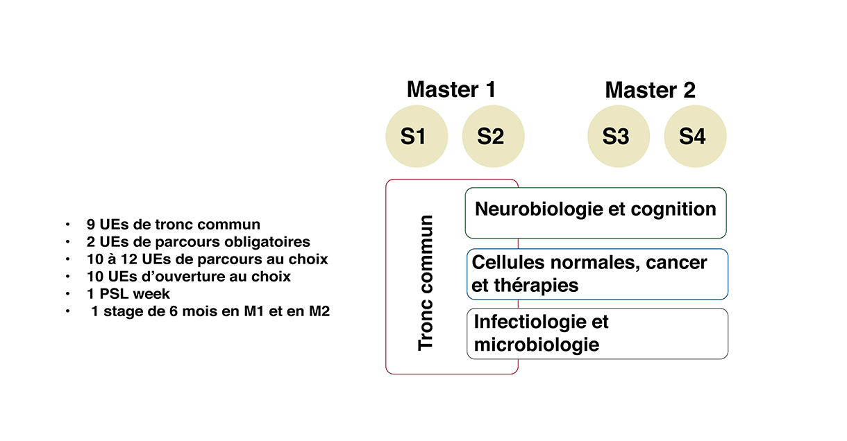 schéma master Biop 1 - 1220