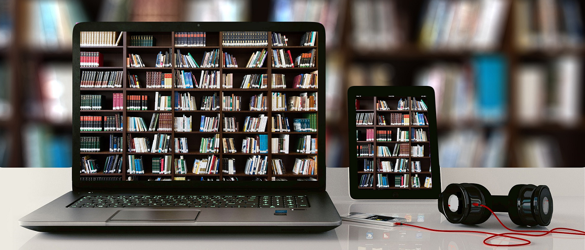 L'offre de livres numériques à destination des bibliothèques de