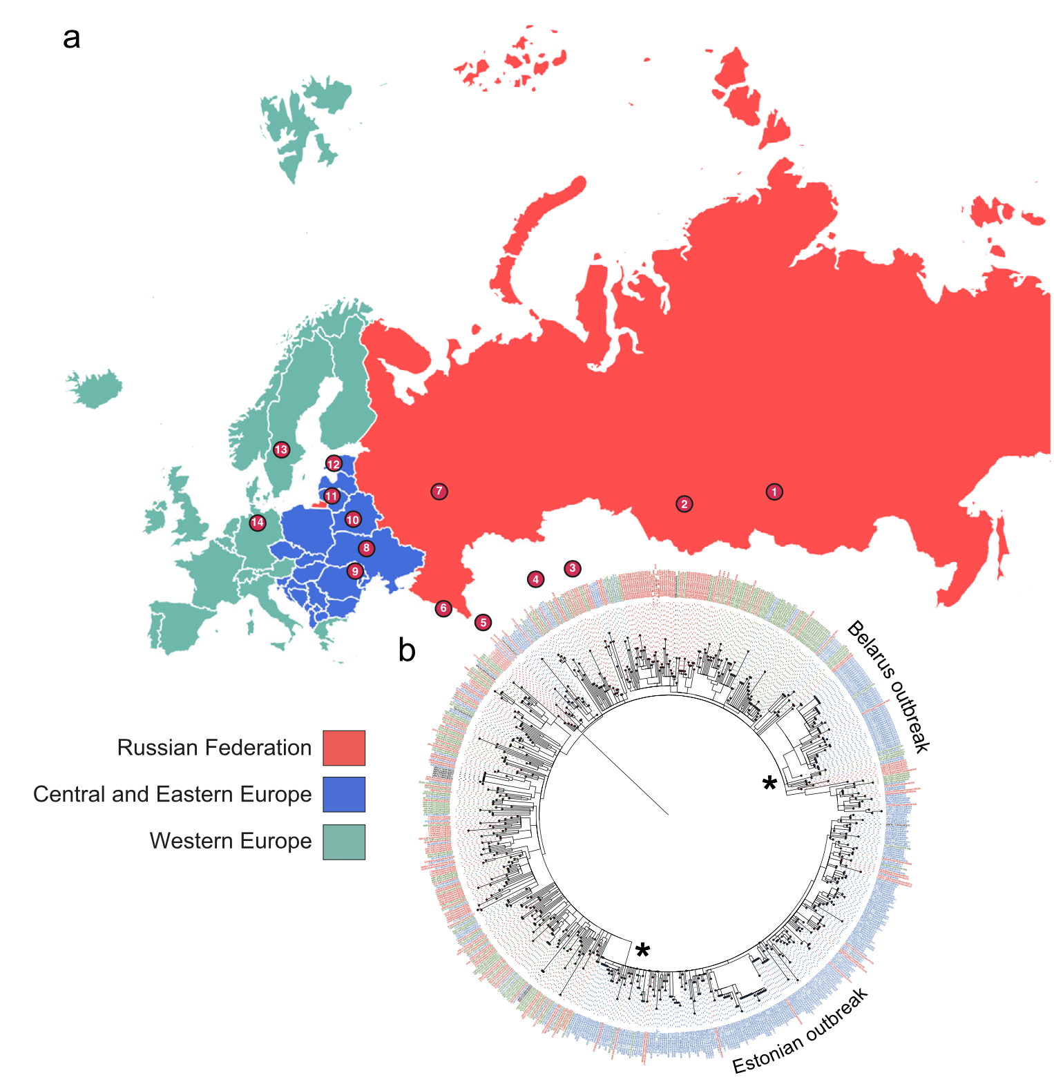 Schéma d'échantillonnage des souches B0/W148 et schémas d'expansion phylogéographique en Eurasie